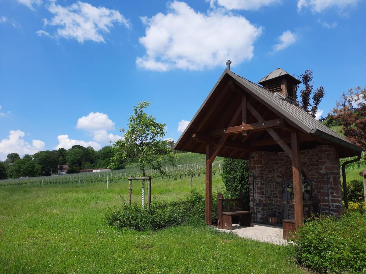 Kaefernberg - Weinhotel Alzenau in Unterfranken Exteriör bild