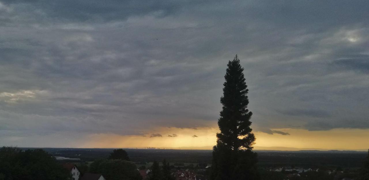 Kaefernberg - Weinhotel Alzenau in Unterfranken Exteriör bild